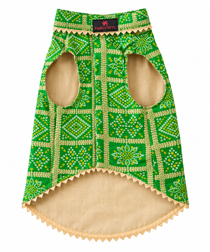 Green Bandhani Kurta | For Dogs | Pawgy Pets