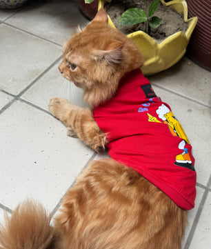 Pawgy Pets T-shirt for Cats