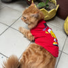 T-shirt | For Cats | Pawgy Pets