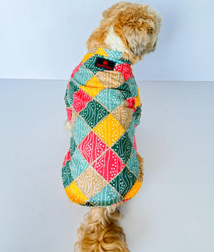 Pawgy Pets Multi Bandani kurta for Dogs