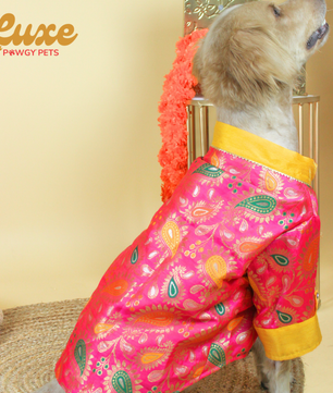 Luxe by Pawgy Pets Pink Brocade Kurta