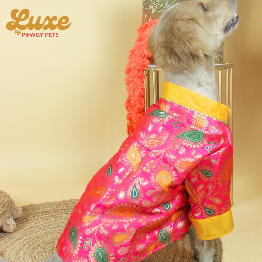 Luxe by Pawgy Pets Pink Brocade Kurta