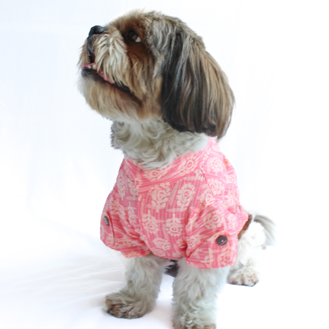 Peach Block Print Kurta | For Dogs | Pawgy Pets