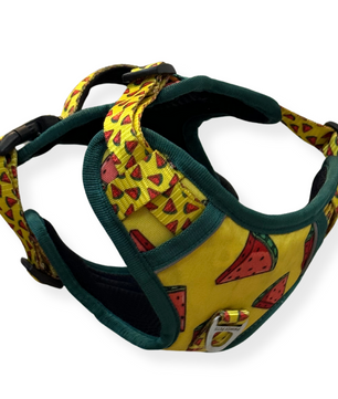 Pawgy Pets Padded Harness Watermelon