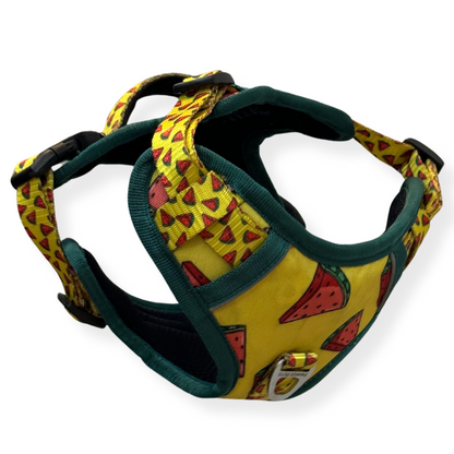 Watermelon | Padded Harness for Dogs and Cats | Pawgy Pets