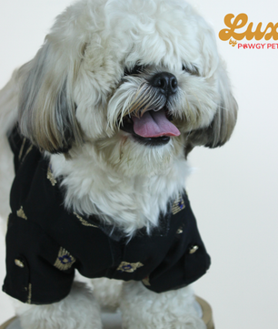 Luxe by Pawgy Pets Elegant black Kurta