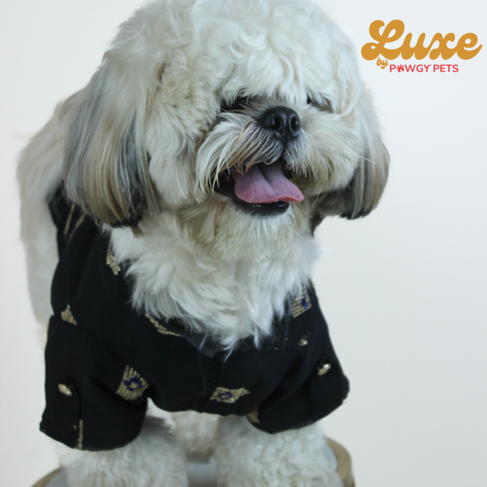 Luxe by Pawgy Pets Elegant black Kurta