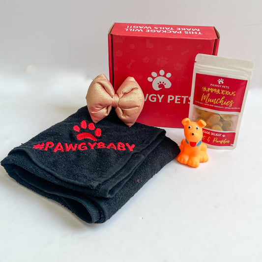 Pawgy Pets Gift Box for Dogs & Cats