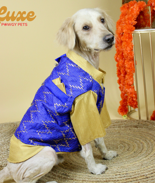 Luxe by Pawgy Pets Hand-embroidered kurta Royal Blue