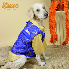 Luxe by Pawgy Pets Hand-embroidered kurta Royal Blue