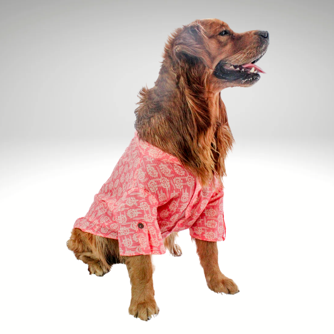 Peach Block Print Kurta | For Dogs | Pawgy Pets