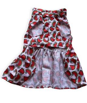 Pawgy Pets Daisy Melon Dress Pink for Dogs