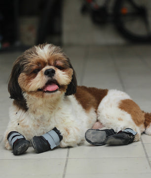Pawgy Walkies – Everyday Dog Shoes: Set of 4