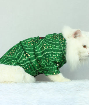 Pawgy Pets Green Bandani kurta for Cats
