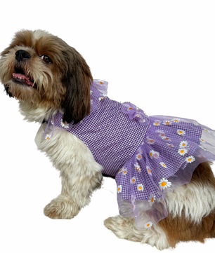 Pawgy Pets Frilly Check Purple for Dogs & Cats