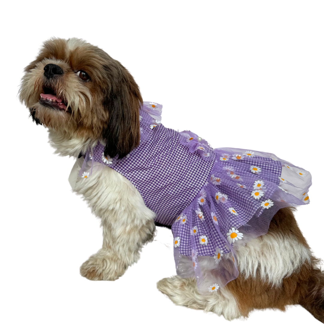 Pawgy Pets Frilly Check Purple for Dogs & Cats