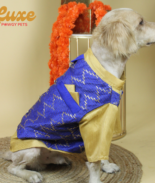 Luxe by Pawgy Pets Hand-embroidered kurta Royal Blue