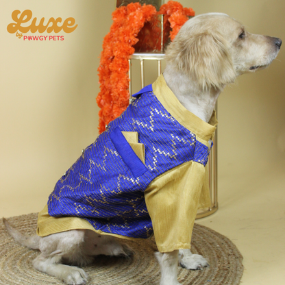 Royal Blue Hand-Embroidered Kurta | Luxe Collection | Pawgy Pets