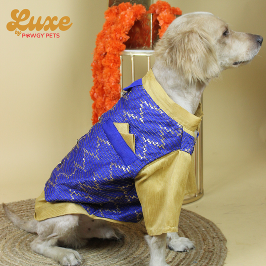 Luxe by Pawgy Pets Hand-embroidered kurta Royal Blue