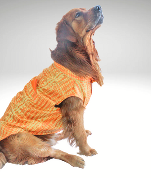 Pawgy Pets Tie & Dye kurta Yellow Orange for Dogs