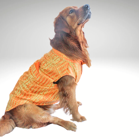Pawgy Pets Tie & Dye kurta Yellow Orange for Dogs