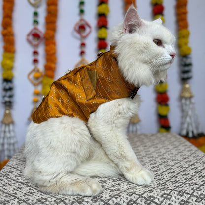 Pawgy Pets Cat Strapy Sherwani Mustard for Cats