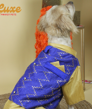 Luxe by Pawgy Pets Hand-embroidered kurta Royal Blue