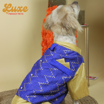 Royal Blue Hand-Embroidered Kurta | Luxe Collection | Pawgy Pets