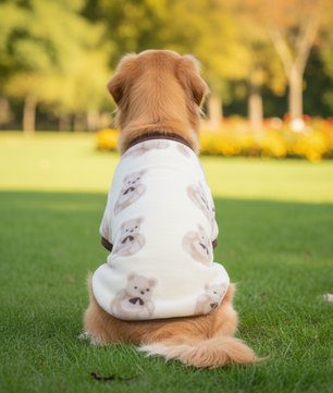 Pawgy Pets Teddy sweater