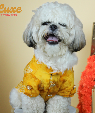 Luxe by Pawgy Pets Bandani kurta Yellow