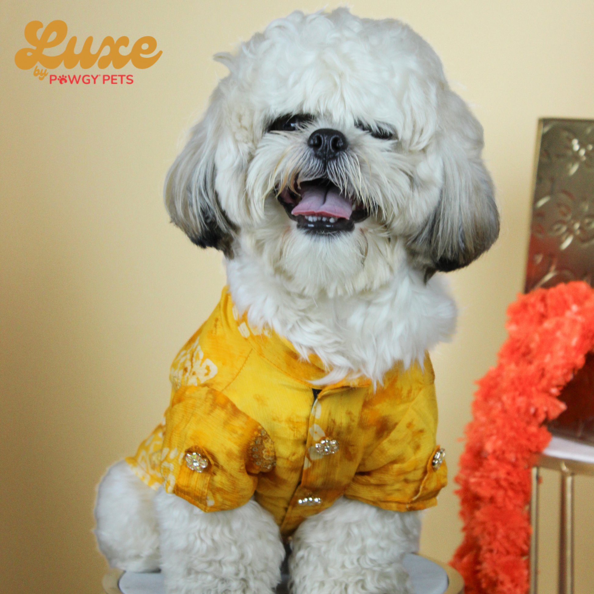 Luxe by Pawgy Pets Bandani kurta Yellow