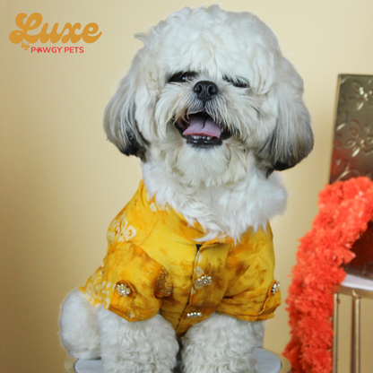 Yellow Bandani Kurta | Luxe Collection | Pawgy Pets