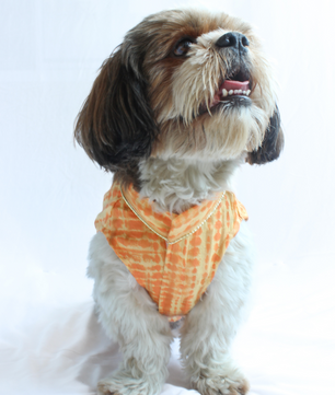 Pawgy Pets Tie & Dye kurta Yellow Orange for Dogs