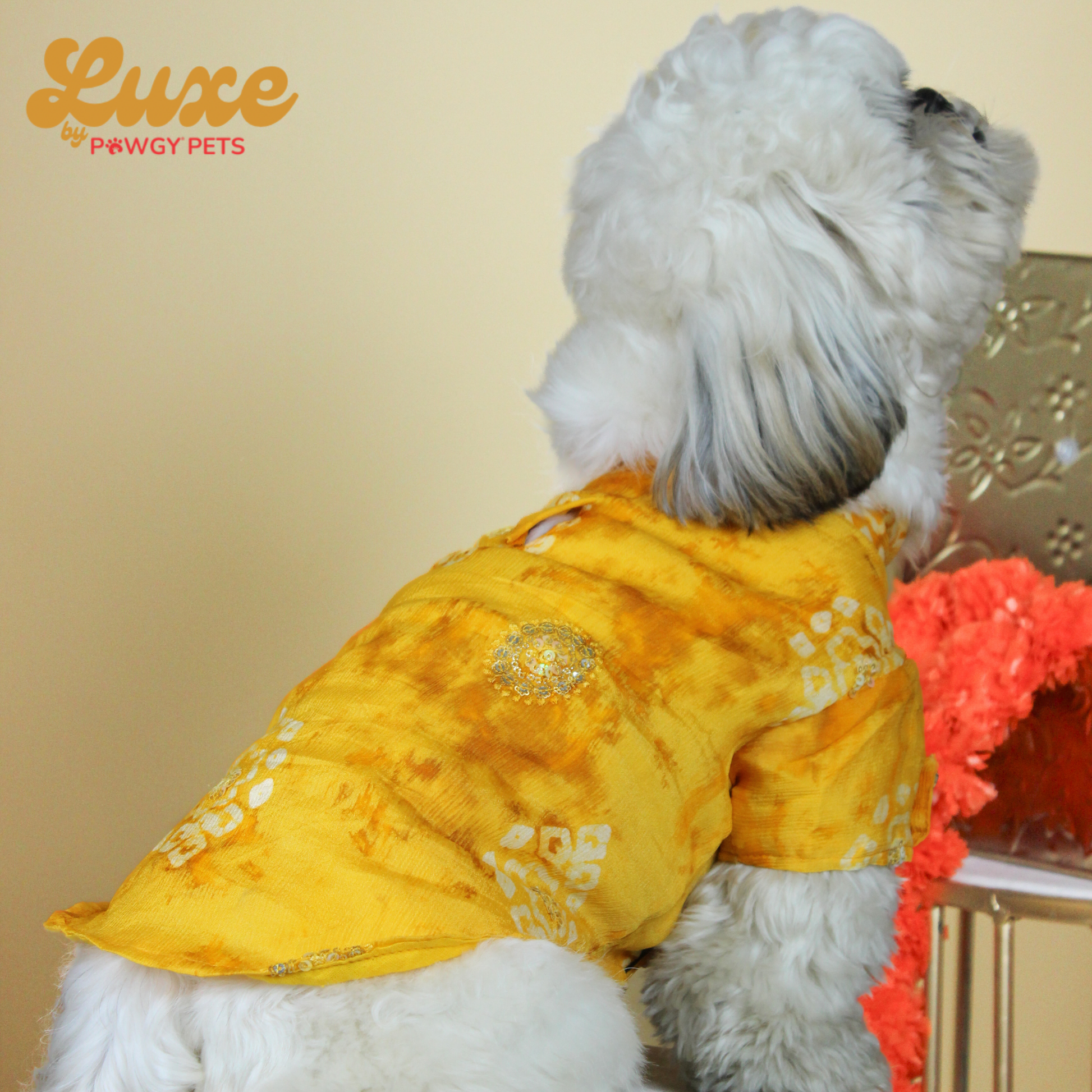 Luxe by Pawgy Pets Bandani kurta Yellow