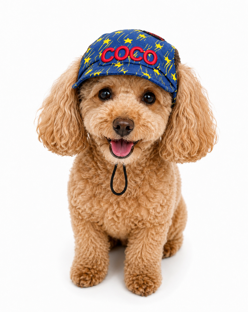 Denim Yellow Star Cap | Personalised for Dogs | Pawgy Pets
