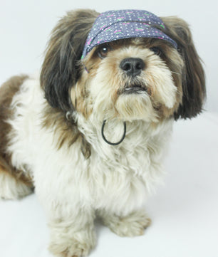 Pawgy Pets Dog Cap: Denim Cherry for Dog & Cats