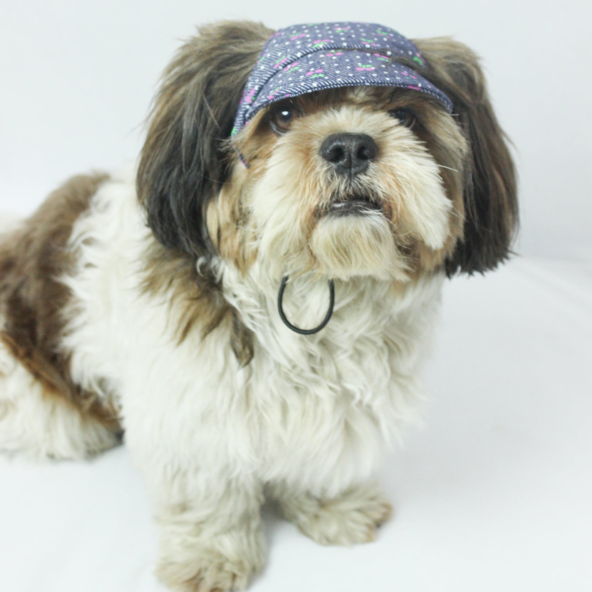 Pawgy Pets Dog Cap: Denim Cherry for Dog & Cats