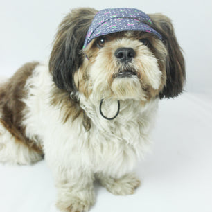 Pawgy Pets Dog Cap: Denim Cherry for Dog & Cats
