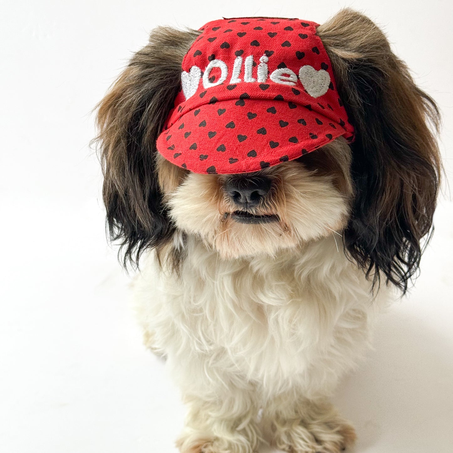 Pawgy Pets Personalised Dog Cap and Bandana: Red Hearts for Dogs & Cats