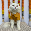 Yellow Occasion Wear Shirt | For Cats | Pawgy Pets