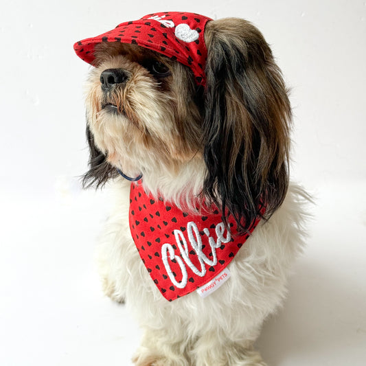 Pawgy Pets Personalised Dog Cap and Bandana: Red Hearts for Dogs & Cats