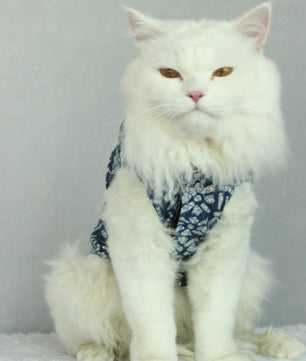 Pawgy Pets Indigo kurta for Cats