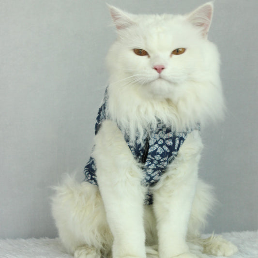 Pawgy Pets Indigo kurta for Cats