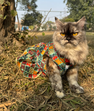 Pawgy Pets Silk Dress Multi: Cat