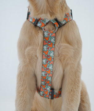 Pawgy Pets H-Harness Mickey Pastel Green for Dogs and Cats