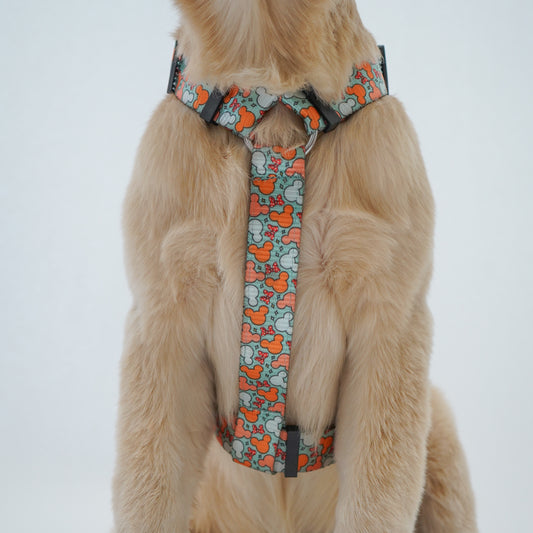 Pawgy Pets H-Harness Mickey Pastel Green for Dogs and Cats