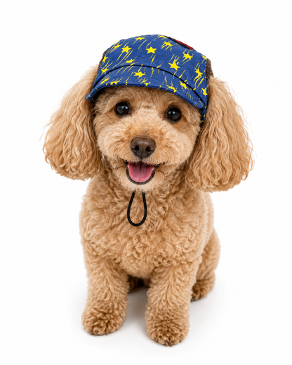 Denim Yellow Star Cap | For Dogs | Pawgy Pets