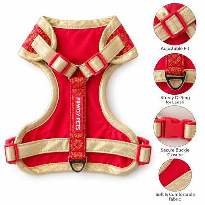 Pawgy Pets Celebration Harness & Leash for Dogs - Red and Gold