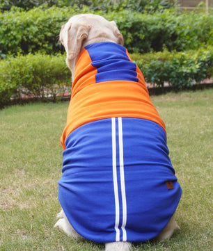 Pawgy Pets Stripe Hoodie Pet Sweatshirt - Orange n Blue