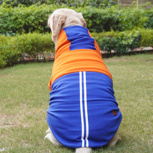 Pawgy Pets Stripe Hoodie Pet Sweatshirt - Orange n Blue